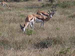 DSCF5583.JPG