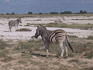 DSCF5594.JPG