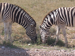 DSCF5600.JPG