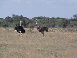 DSCF5613.JPG