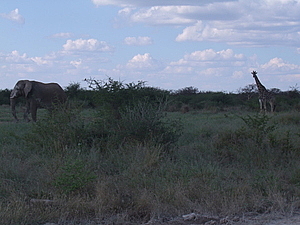 DSCF5641.JPG