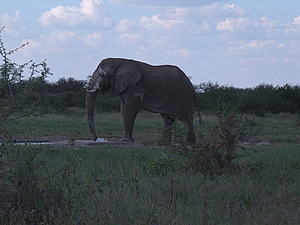 DSCF5643.JPG