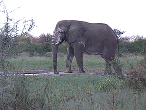 DSCF5647.JPG