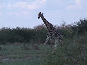 DSCF5648.JPG