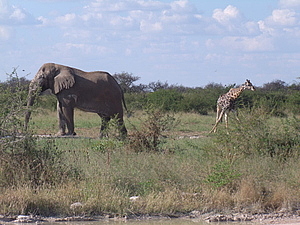 DSCF5657.JPG