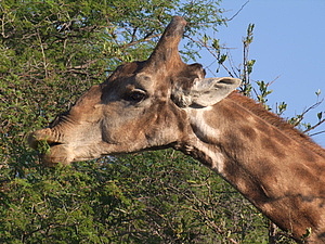 DSCF5699.JPG