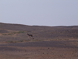 DSCF5968.JPG