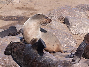 DSCF6031.JPG
