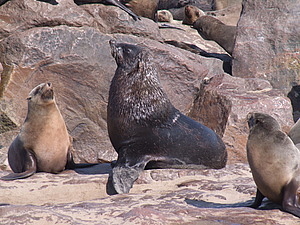 DSCF6035.JPG