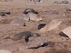 DSCF6042.JPG