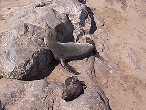 DSCF6053.JPG