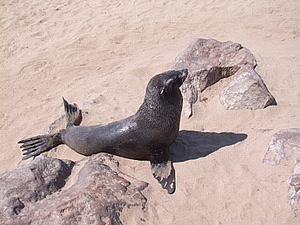DSCF6091.JPG