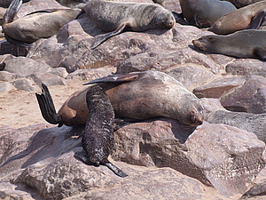 DSCF6115.JPG