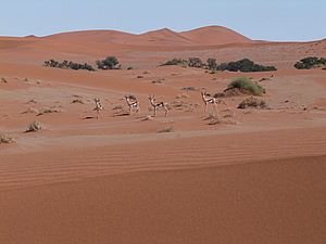 DSCF7192.JPG