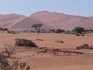 DSCF7244.JPG