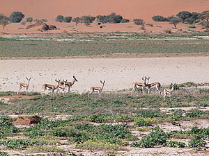 DSCF7390.JPG