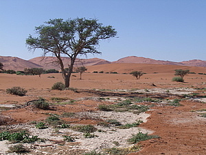 DSCF7426.JPG