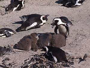 DSCF7899.JPG