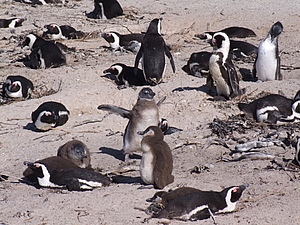 DSCF7902.JPG