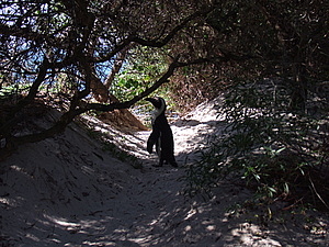 DSCF7930.JPG