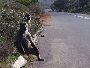 DSCF7965.JPG