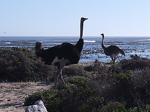 DSCF7989.JPG