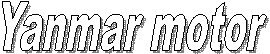 Yanmar motor