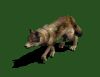 wolf_01.gif