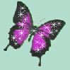 bug001.gif