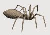 bug008.gif