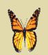bug014.gif