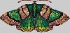 bug018.gif