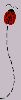 bug020.gif