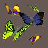 bug021.gif