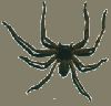 bug034.gif
