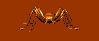 bug040.gif