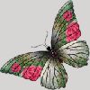 bug041.gif