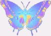 bug042.gif