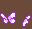 bug047.gif