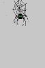 bug049.gif