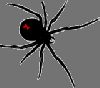 bug051.gif