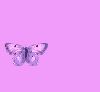 bug055.gif
