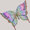 bug060.gif