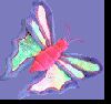 bug061.gif