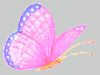 bug062.gif