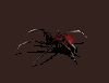 bug067.gif