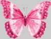 bug069.gif