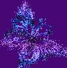 bug071.gif