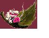 d_diddle90.gif