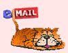mail005.gif